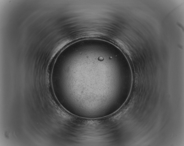 X0000091730835200708311200
