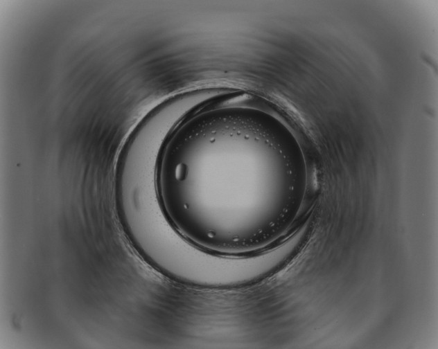 X0000091730836200708311200