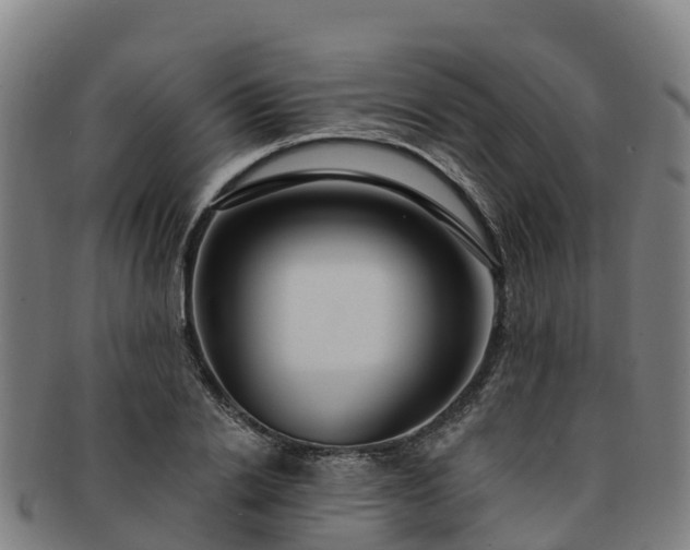 X0000091730838200708311200