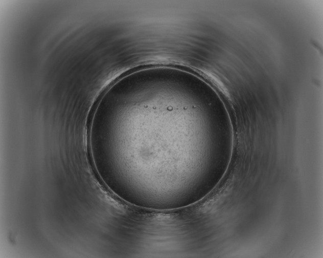 X0000091730839200708311200