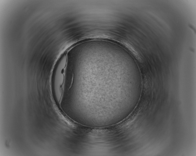 X0000091730840200708311200
