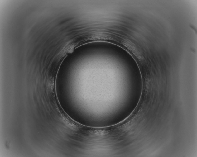 X0000091730841200708311200