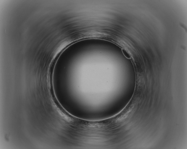 X0000091730843200708311200