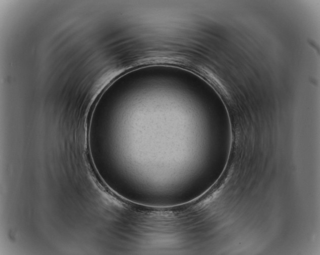 X0000091730844200708311200