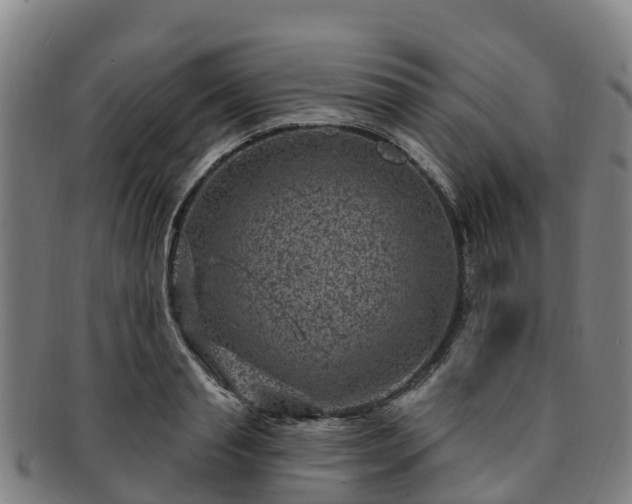 X0000091730845200708311200