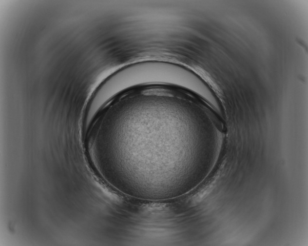 X0000091730846200708311200