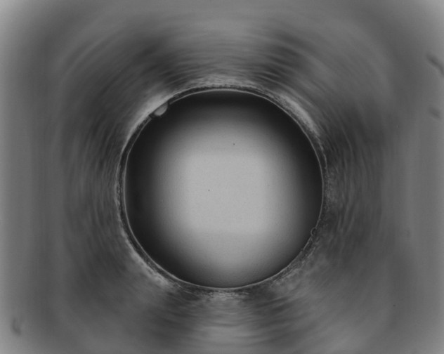X0000091730847200708311200
