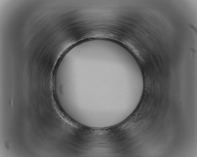 X0000091730848200708311200