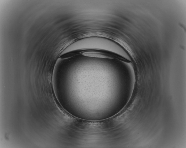 X0000091730849200708311200