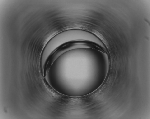 X0000091730850200708311200