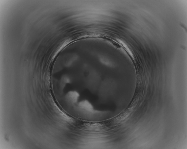 X0000091730851200708311200