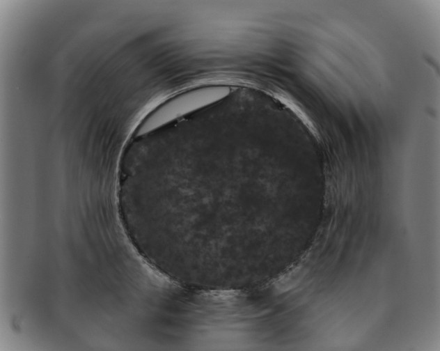 X0000091730853200708311200