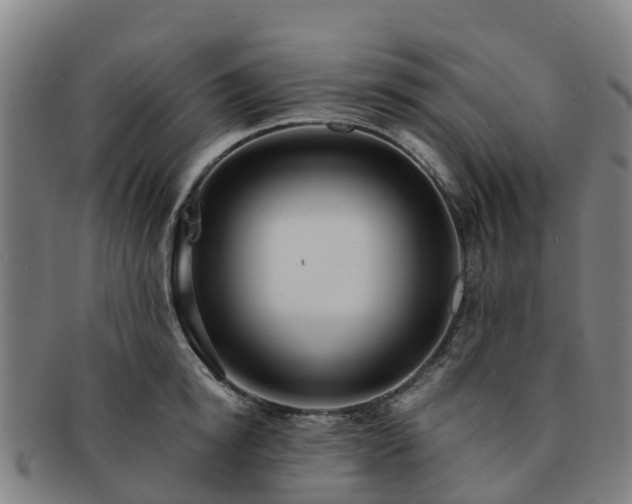 X0000091730854200708311200