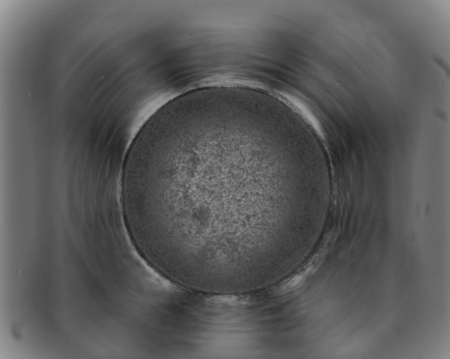 X0000091730855200708311200