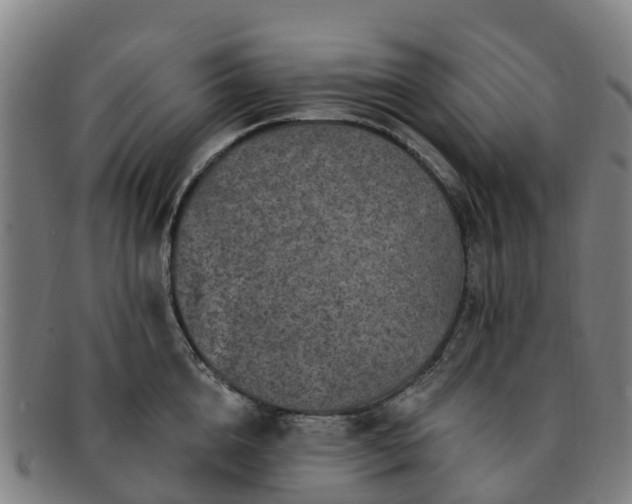 X0000091730856200708311200