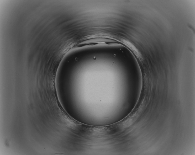 X0000091730857200708311200