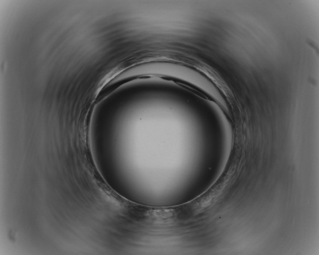 X0000091730858200708311200