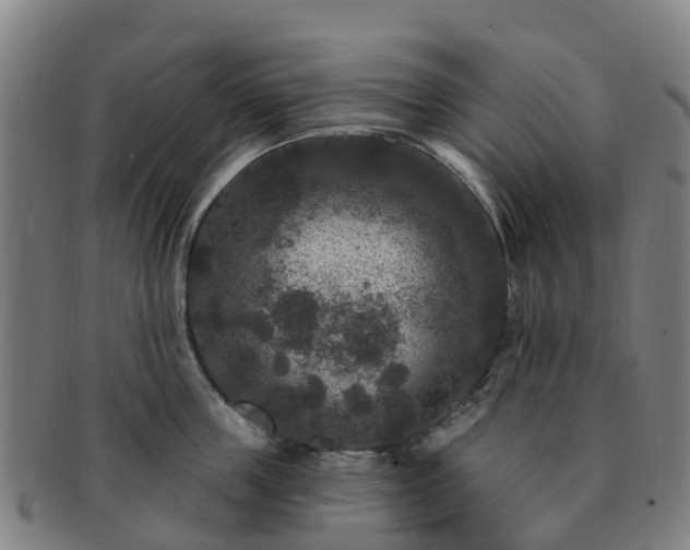 X0000091730859200708311200