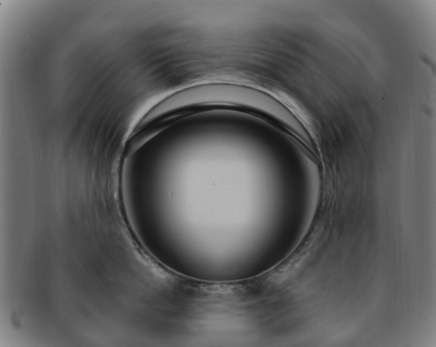 X0000091730862200708311200