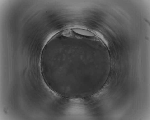 X0000091730863200708311200