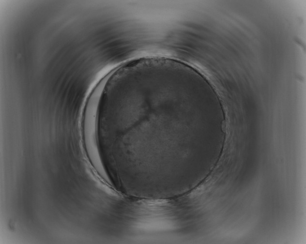 X0000091730864200708311200