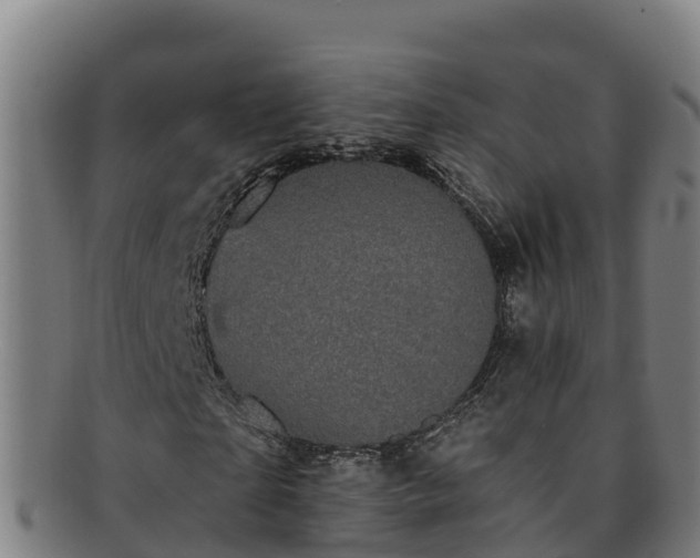 X0000091730865200708311159