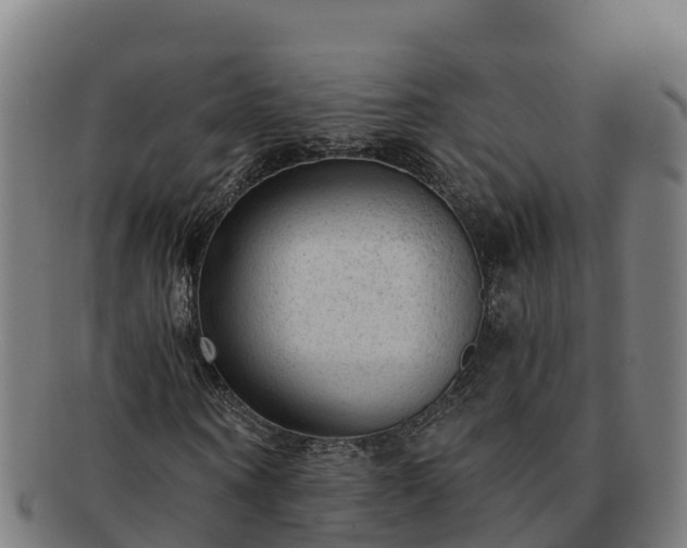 X0000091730866200708311159