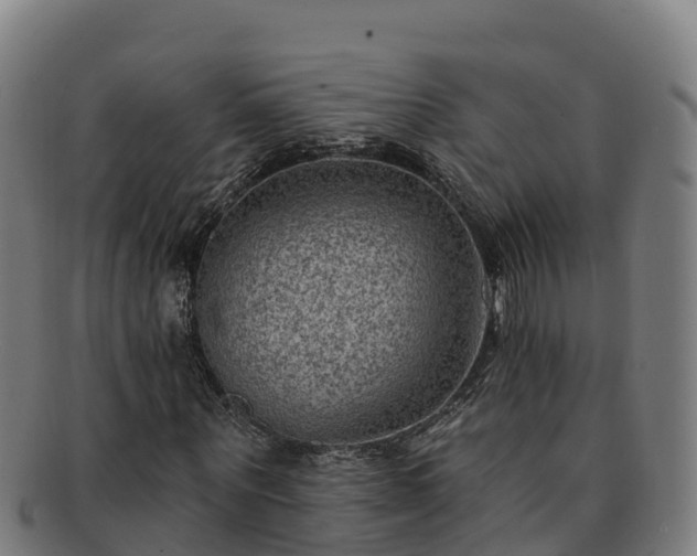 X0000091730867200708311159