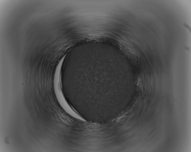 X0000091730868200708311159