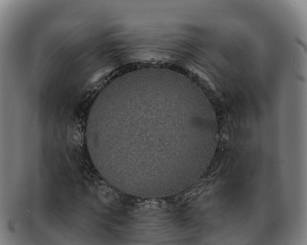 X0000091730869200708311159