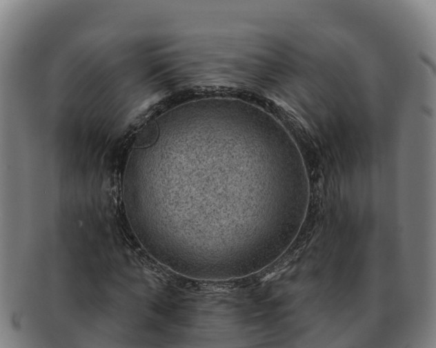 X0000091730870200708311159