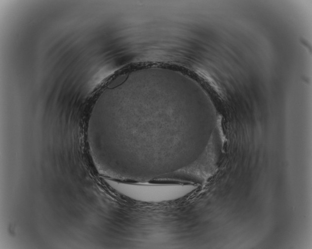 X0000091730872200708311159