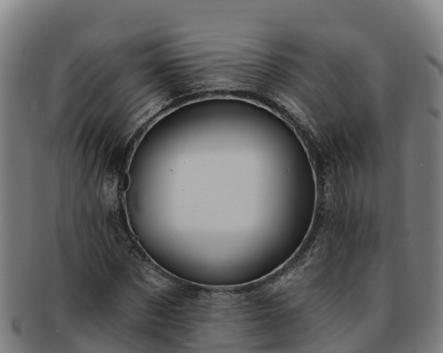 X0000091730873200708311159