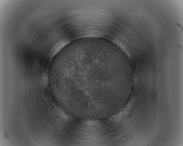 X0000091730874200708311159