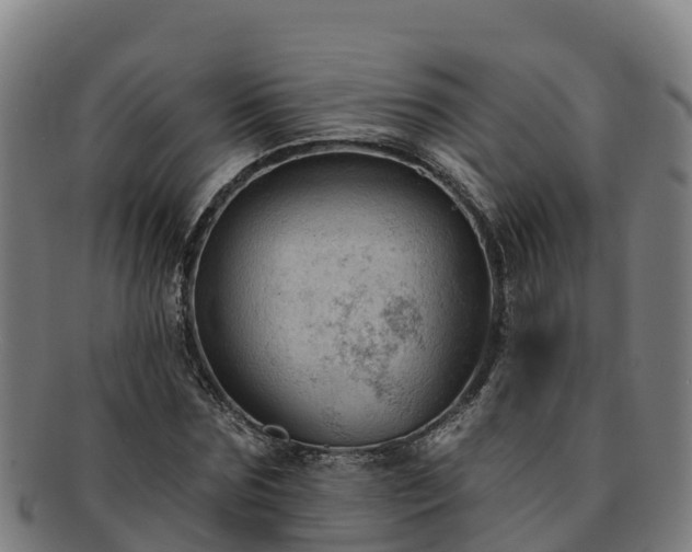 X0000091730875200708311159
