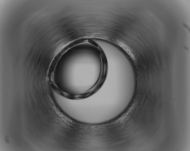 X0000091730876200708311159