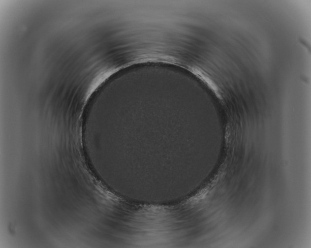 X0000091730877200708311159