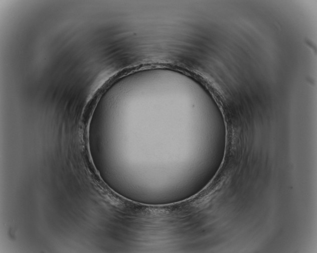 X0000091730878200708311159