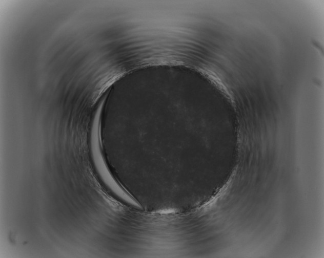 X0000091730881200708311159