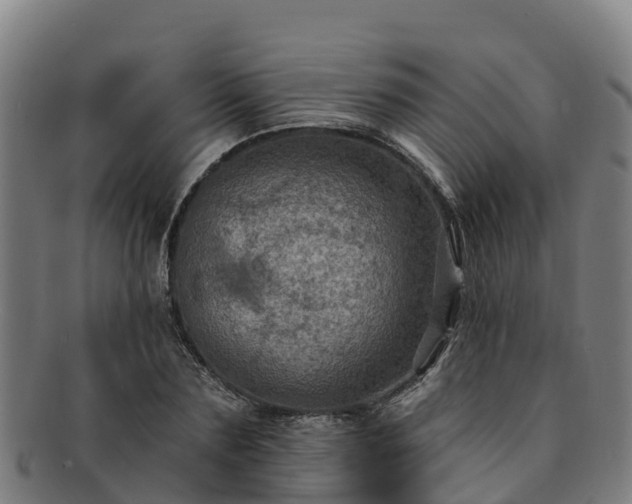 X0000091730883200708311159