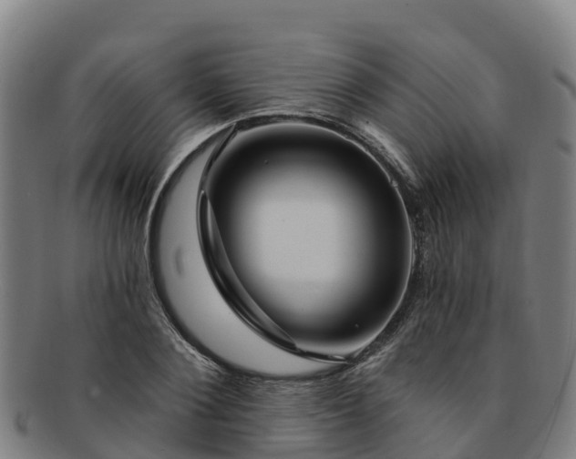 X0000091730884200708311159