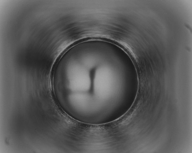 X0000091730887200708311159
