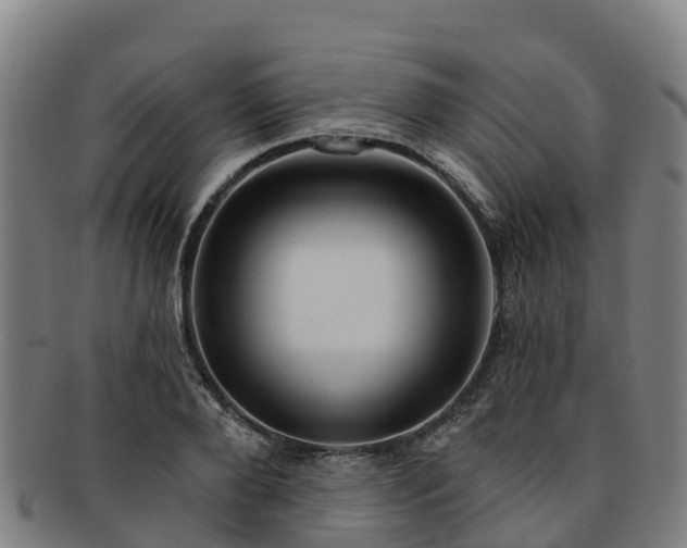 X0000091730888200708311159
