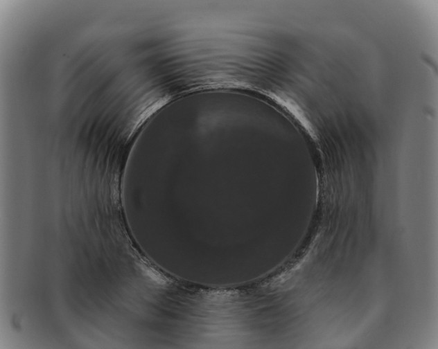 X0000091730889200708311159