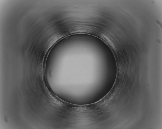 X0000091730890200708311159