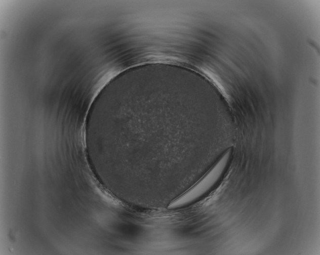 X0000091730891200708311159
