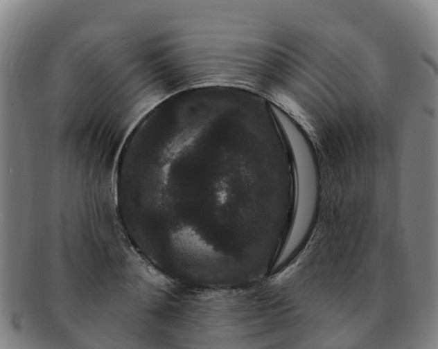 X0000091730892200708311159