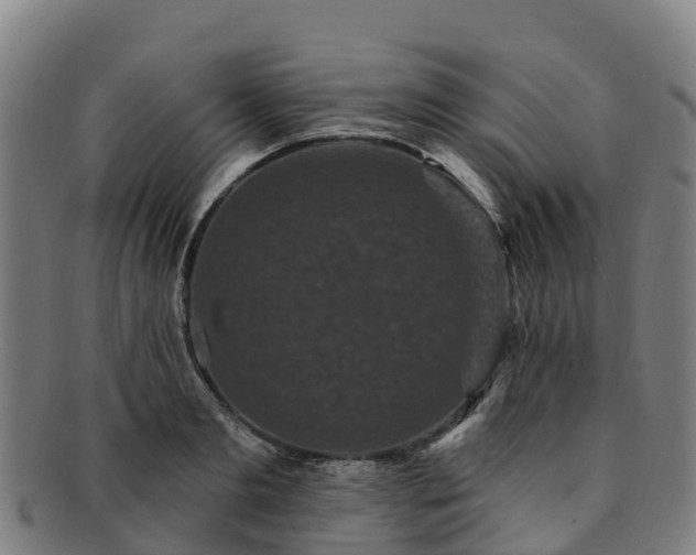X0000091730893200708311159