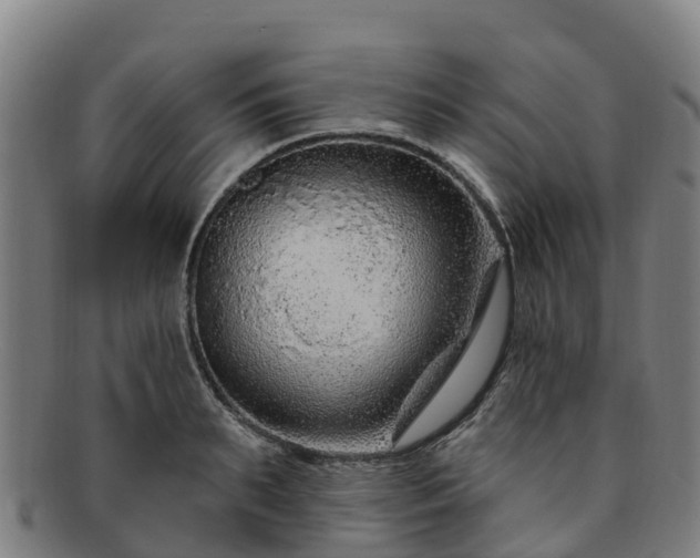 X0000091730895200708311159