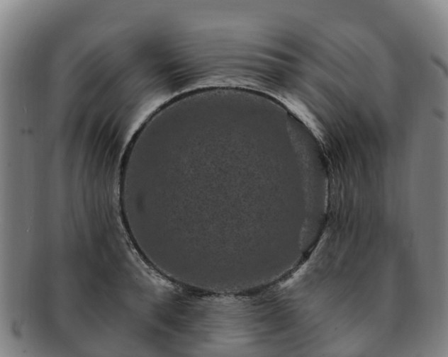 X0000091730896200708311159